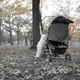 Illustration for article titled Shooting Challenge Fall Leaves Gallery 6
